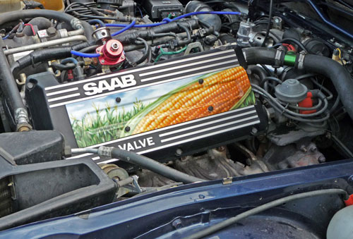 Saab del Maiz