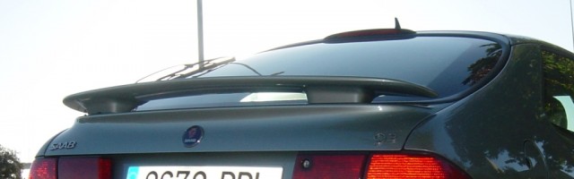 DSC02978 RR.JPG