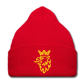 gorro-saab.jpg