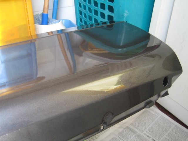 pintado.jpg
