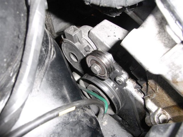 resize (Medium).jpg