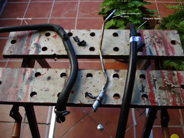 Copia de DSC02580 (Medium).JPG