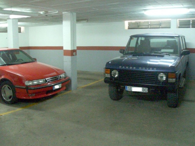 CIMG1589 sin_1275x957.jpg
