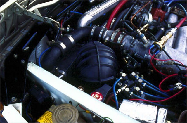 0019_02mg.jpg