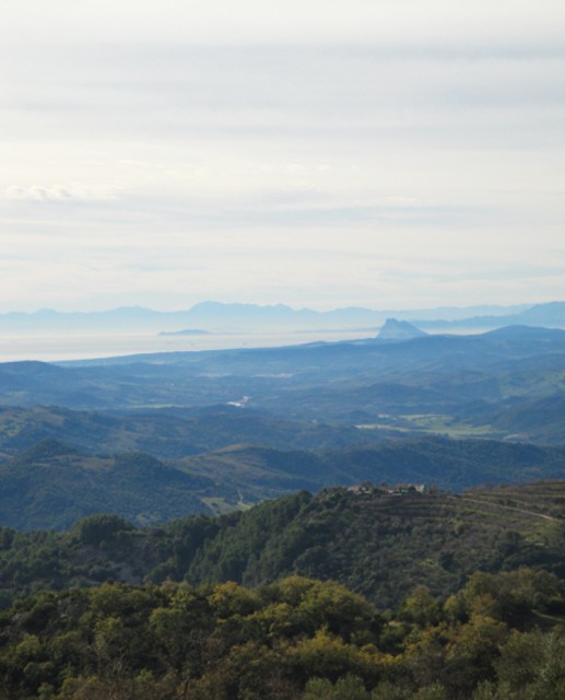 Vista110.jpg