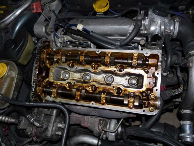 P1030514.jpg