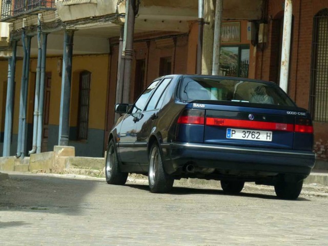 P1030503.jpg