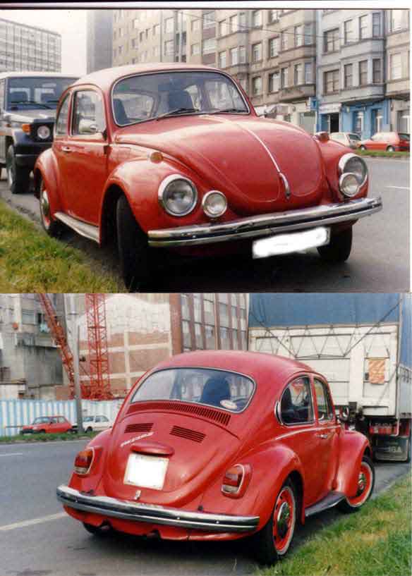 escarabajo.jpg