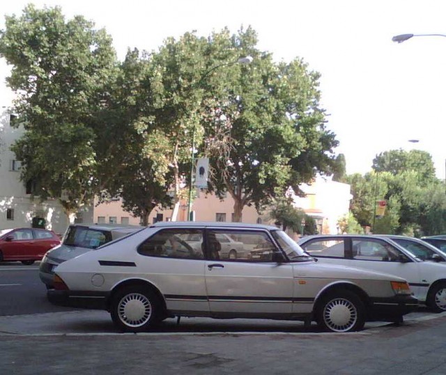 IMG00065 R.jpg
