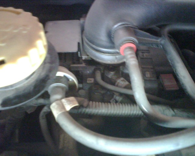 IMG00158.jpg