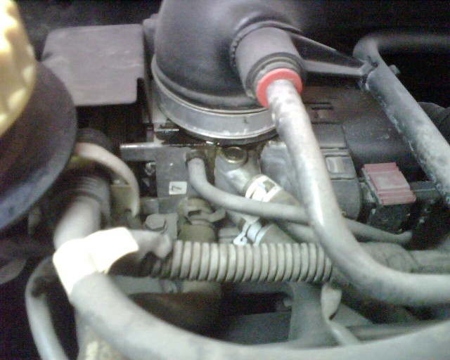 IMG00159.jpg