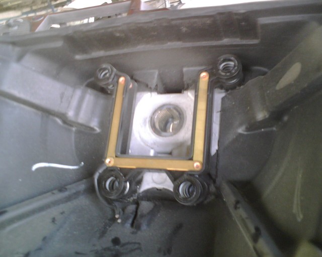 IMG00403.jpg