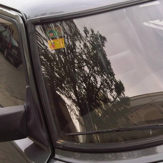 IMG00022-20100906-1845.jpg