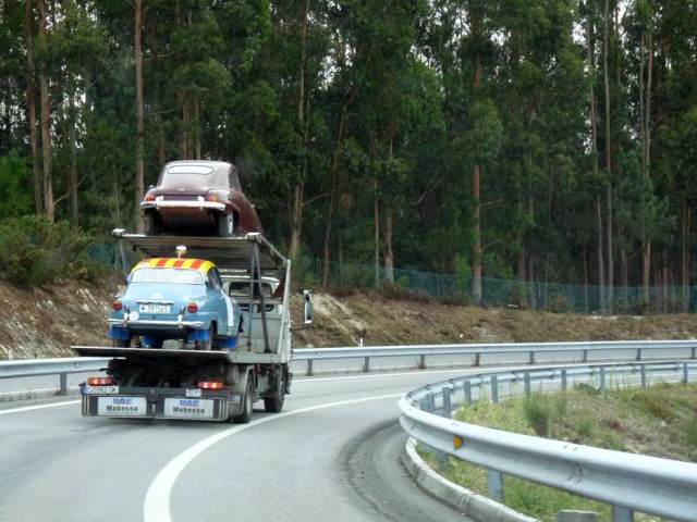 P1040530.jpg