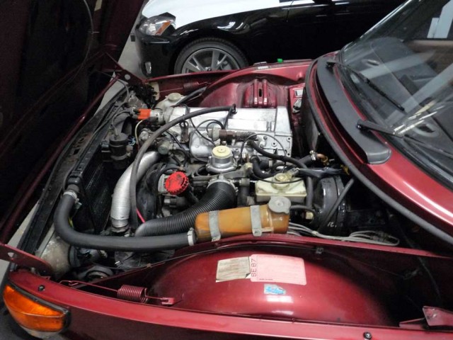 P1040569.jpg