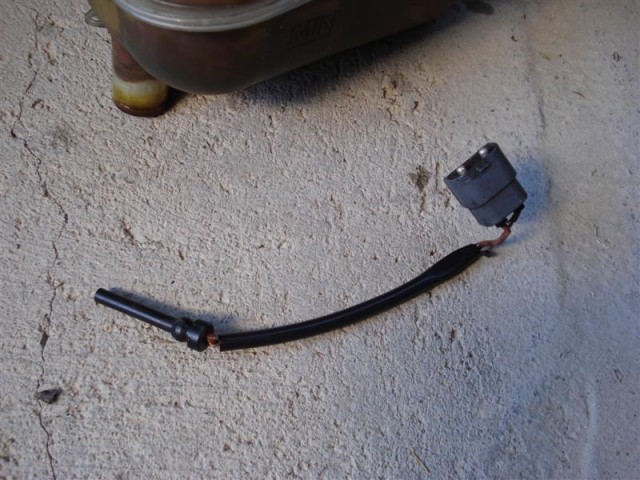 DSC02391 (Medium).JPG