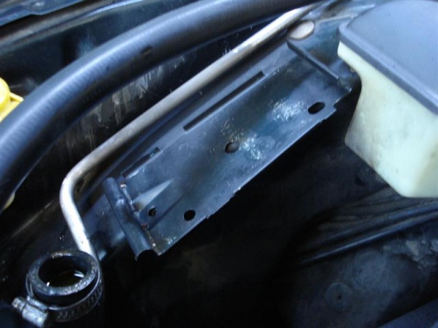 DSC02393 (Medium).JPG