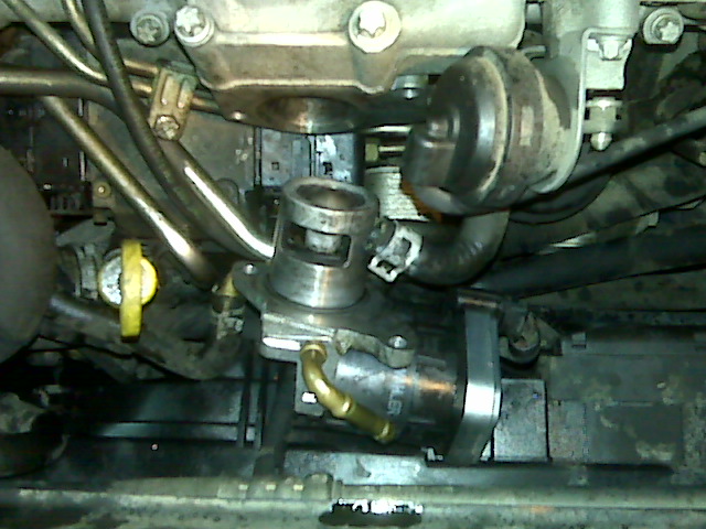 IMG00134.jpg