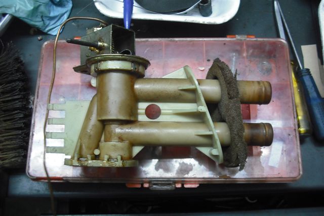 021 grifo vista 2.jpg