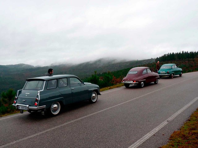 P1000667.jpg