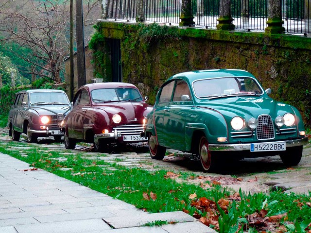 P1000638.jpg