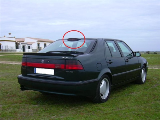 DSCN2309 (Medium).JPG