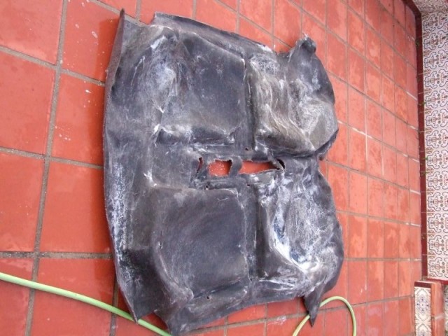 Alfombra 1.jpg