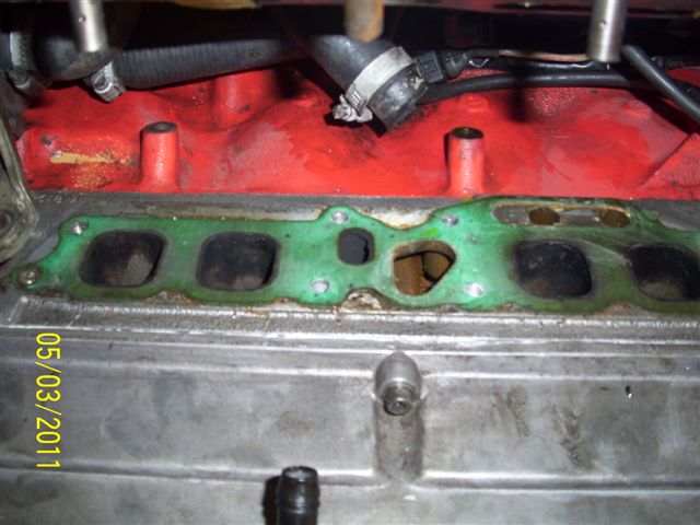 VICEN 005.jpg