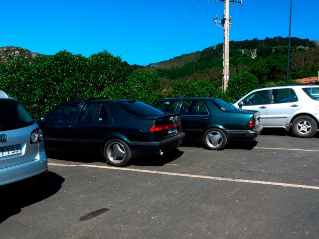 P1000217.jpg