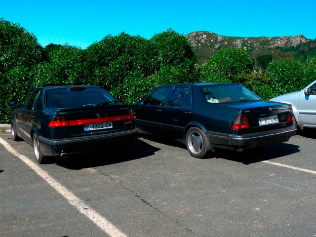 P1000218.jpg