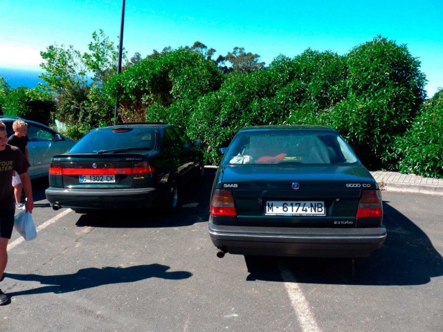 P1000219.jpg