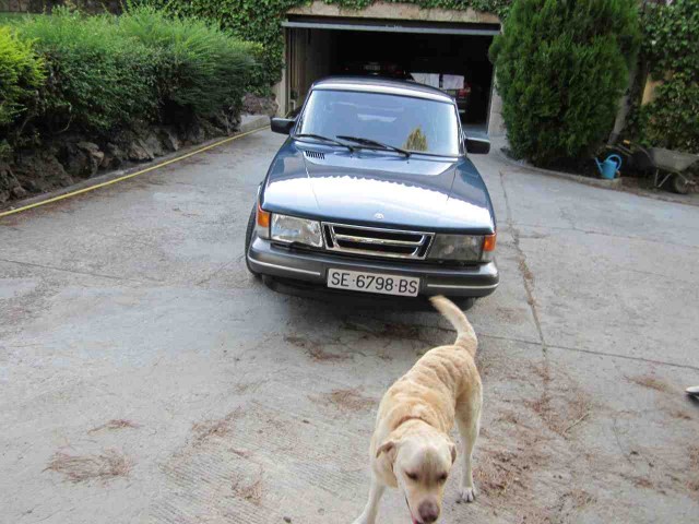 saab900 004.jpg