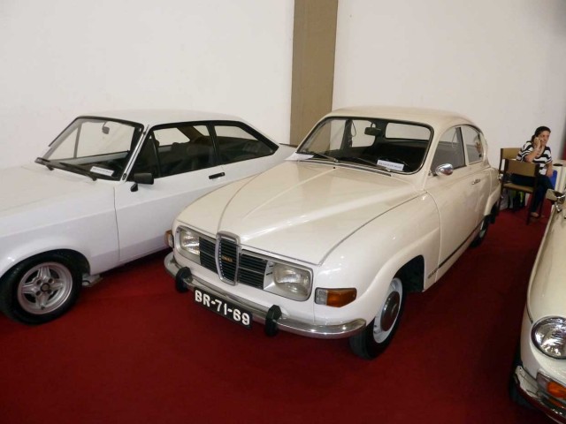 P1000355.jpg