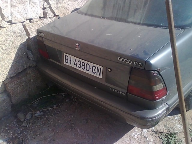 Imagen1166.jpg