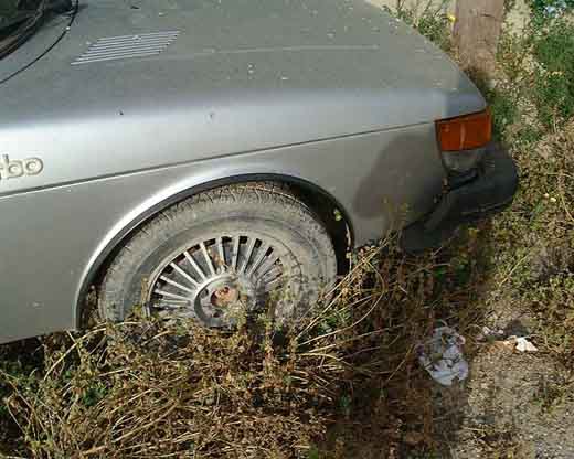 900_06.jpg