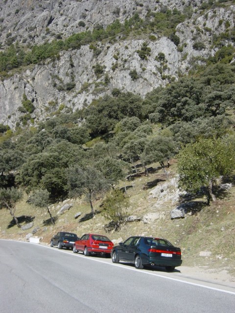 DSC04209 R.JPG