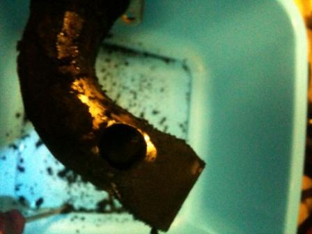 Iphone 2012-02-05 008.jpg