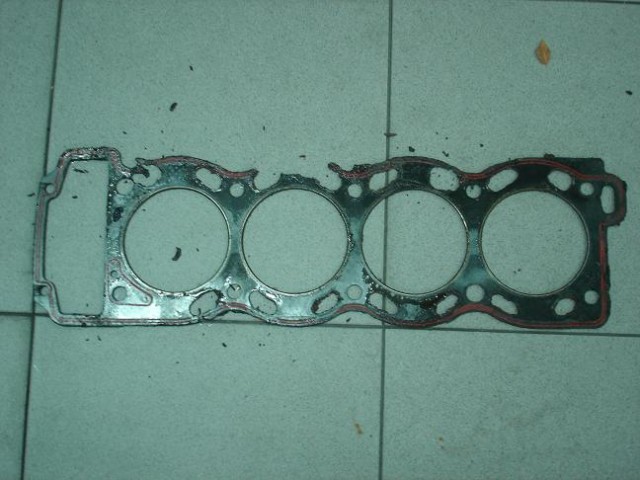 DSC01206r.JPG