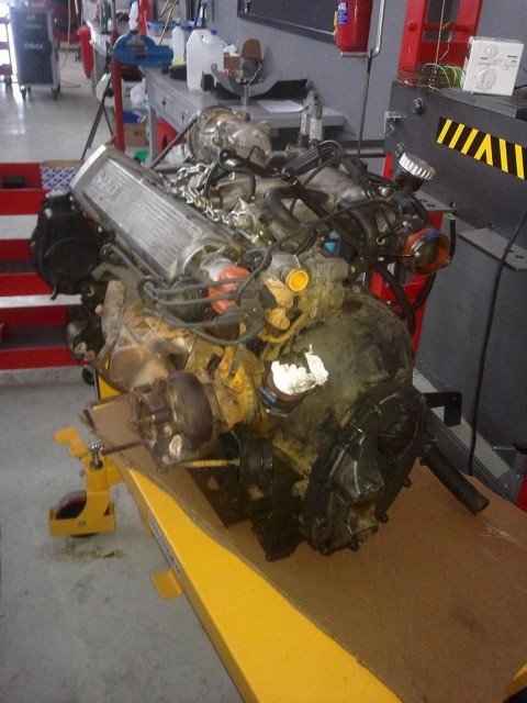 motor fuera 1.jpg