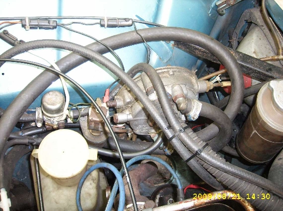 DSCI0226.JPG