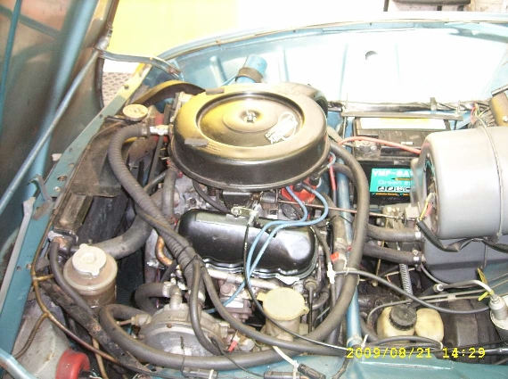 DSCI0224.JPG