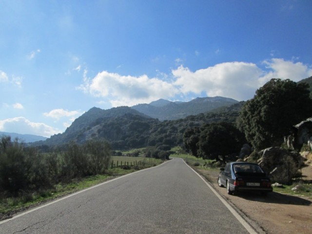 IMG_0146.jpg