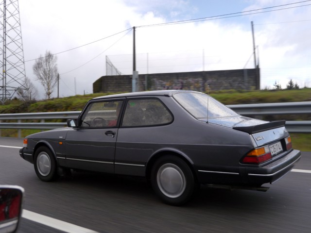 P1000095.jpg