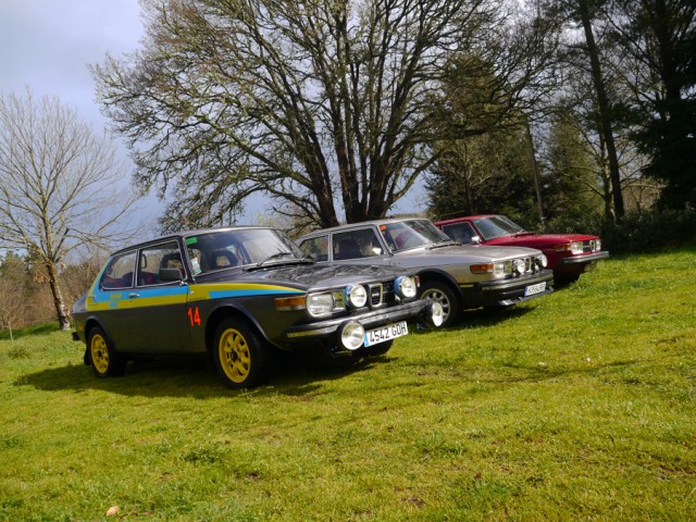 P1000105.jpg