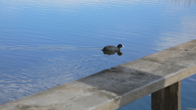 P1040117 (640x360).jpg