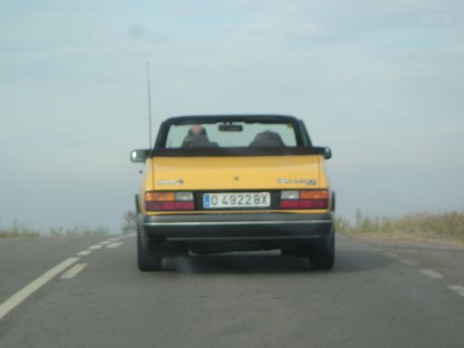 PICT0274.jpg