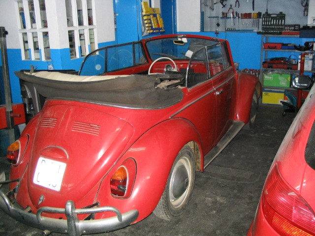 escarabat4.jpg