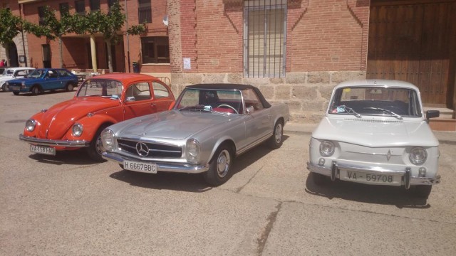 escarabajo pagoda y R8.JPG