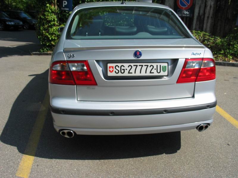 hirsch33.jpg