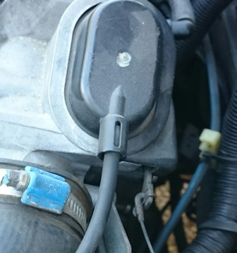 FOTO 3.JPG